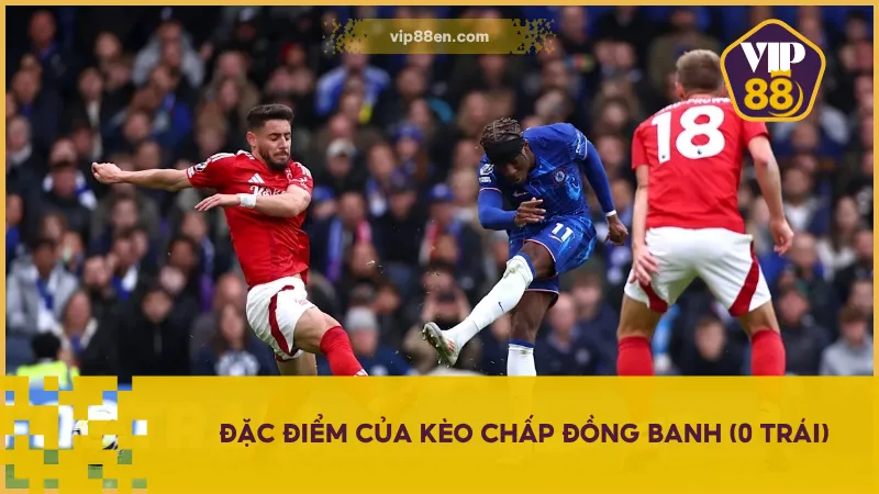 Kèo chấp đồng banh (0 trái) phản ánh sự ngang tài ngang sức giữa hai đội