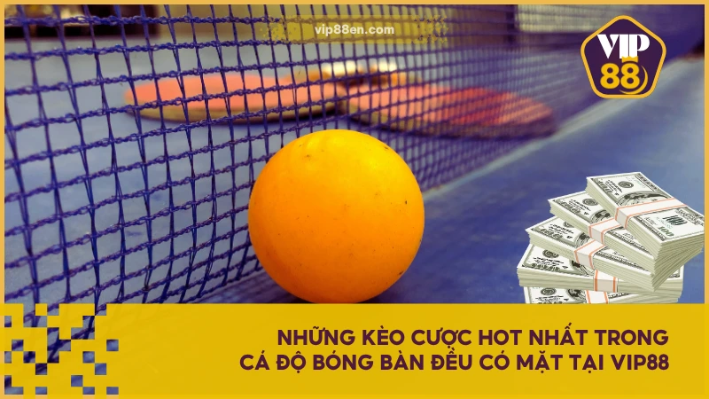 Những kèo cược hot nhất trong cá độ bóng bàn đều có mặt tại VIP88