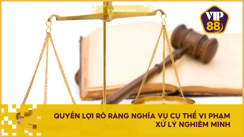 Quyền lợi rõ ràng nghĩa vụ cụ thể vi phạm xử lý nghiêm minh