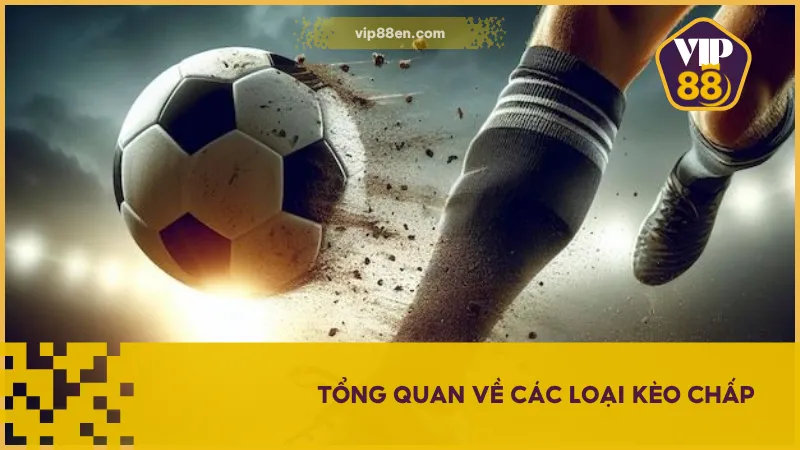 Hãy phân tích và hiểu về từng loại kèo cược chấp