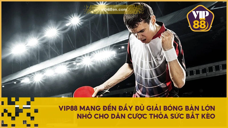 VIP88 mang đến đầy đủ giải bóng bàn lớn nhỏ cho dân cược thỏa sức bắt kèo